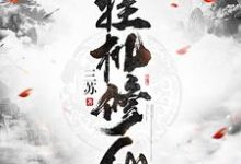 主人公叫奚仲武媚的小说哪里免费看-贝壳文学