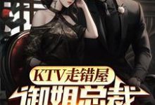 苏阳凌若雪为主角的小说KTV走错屋，御姐总裁反锁房门在线阅读-贝壳文学