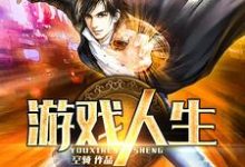 完结版《游戏人生》免费阅读-贝壳文学