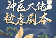 穿越后,神医大佬撕了被虐剧本小说,穿越后,神医大佬撕了被虐剧本 梅闻儿夜宸风-贝壳文学
