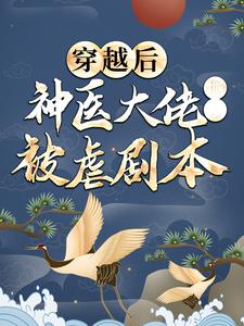 穿越后，神医大佬撕了被虐剧本小说，穿越后，神医大佬撕了被虐剧本 梅闻儿夜宸风
