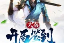 主角叫嬴政陆羽秦王政卧槽大秦小说大秦:开局签到第一剑章节免费阅读-贝壳文学