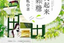 你笑起来像颗糖小说，你笑起来像颗糖免费阅读-贝壳文学