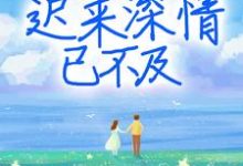 迟来深情已不及小说的免费阅读版本在哪里可以找到?-贝壳文学