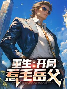 求叶辰萧苒小说免费资源