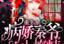 免费在线阅读重生：病娇秦爷的小撩精狠凶残小说的正规网站有哪些？-贝壳文学