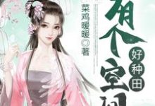完结版《有个空间好种田》在线免费阅读-贝壳文学