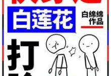 快穿之白莲花打脸专业户(孟西梅孟何川小白)在线免费阅读-贝壳文学
