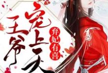 弃妃有喜：王爷，宠上天叶飘零晋王轩辕修，弃妃有喜：王爷，宠上天小说免费阅读-贝壳文学