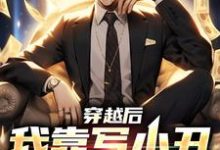 主角叫李苏的小说在哪阅读-贝壳文学