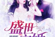 盛世宠婚这本小说在哪里可以看？哪里有免费试读章节？-贝壳文学
