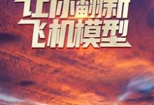 让你翻新飞机模型，你却打造幽灵战机？小说，让你翻新飞机模型，你却打造幽灵战机？在线阅读-贝壳文学