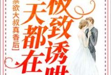 禁欲大叔真香后,每天都在极致诱哄小说,禁欲大叔真香后,每天都在极致诱哄宋星也商屿谦-贝壳文学