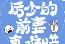 豪门弃妇：厉少的前妻真难哄小说阅读，豪门弃妇：厉少的前妻真难哄完结版-贝壳文学
