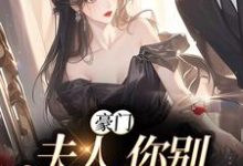 苏烟秦时砚的故事在哪本书里？免费阅读豪门：夫人，你别丢下我-贝壳文学