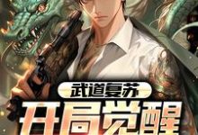 主人公叫苏鸿鸿的小说武道复苏：开局觉醒无双天赋在线阅读章节-贝壳文学