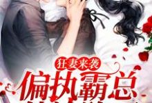小说《狂妻来袭,偏执霸总他沦陷了》在线章节阅读-贝壳文学