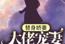 主角叫苏瓷傅南城的小说在哪阅读-贝壳文学