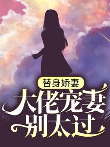 主角叫苏瓷傅南城的小说在哪阅读