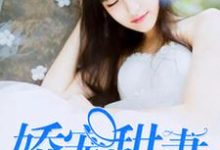 叶安可陆庭扬黄珊珊雷奥小说叫什么（娇宠甜妻免费阅读）-贝壳文学