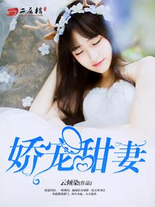 叶安可陆庭扬黄珊珊雷奥小说叫什么（娇宠甜妻免费阅读）