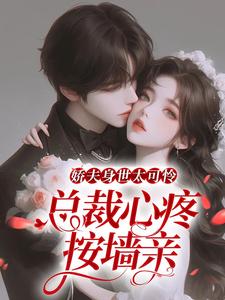 主角叫沐清歌叶南星小说娇夫身世太可怜，总裁心疼按墙亲章节免费阅读