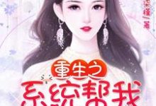 重生之系统帮我追老公小说完结版章节免费阅读-贝壳文学