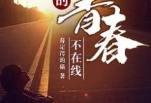 我的青春不在线免费阅读，我的青春不在线章节在线阅读-贝壳文学