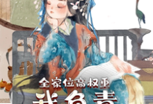 主角叫叶蓁蓁的小说在哪阅读-贝壳文学