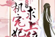 《心机宠妃求上位：王爷，请赐教》全集免费在线阅读（ 商凉玥帝聿）-贝壳文学