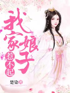完结版《我家娘子惹不起》章节阅读