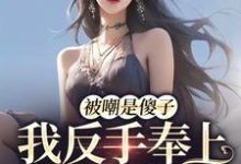 被嘲是傻子，我反手奉上满分状元小说全文阅读需要付费吗？寻找免费资源-贝壳文学