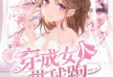 在线寻找苏小婉冷云廷叶桦沈思安的小说，穿成女人带球跑免费阅读-贝壳文学