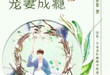 小说《顾少宠妻成瘾》章节免费阅读-贝壳文学