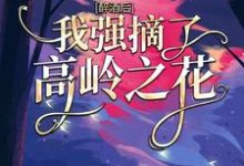 舒念傅渊政是哪本书的主角？寻找醉酒后，我强摘了高岭之花免费阅读-贝壳文学