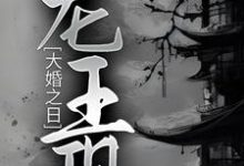 大婚之日，龙王现这本小说在哪里可以看？哪里有免费试读章节？-贝壳文学