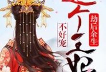 劫后余生:这个王妃不好宠这本小说在哪里可以看?哪里有免费试读章节?-贝壳文学