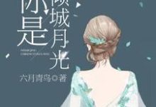你是倾城月光免费阅读，你是倾城月光章节目录-贝壳文学