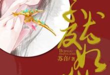 寻找能够免费阅读不及尤妃妆小说的平台-贝壳文学