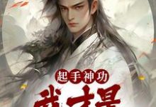 已完结小说《起手神功：我才是一人之下》章节在线阅读-贝壳文学