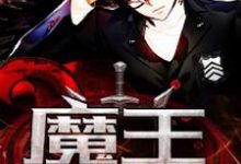 完结版《魔王降临人间》章节阅读-贝壳文学