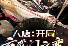 大唐：开局玄武门之变这本小说怎么样？免费在线阅读试试-贝壳文学