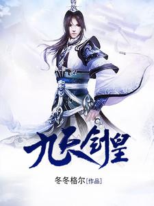 免费阅读奇天云林雪陆晓清司马风为主角的小说，九天剑皇在线看