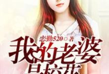完整版的我的老婆是校花小说在哪里可以免费读到?-贝壳文学