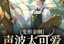 声波的故事在哪本书里？免费阅读变形金刚：声波太可爱了怎么办-贝壳文学