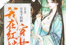 林慕贾瑛是哪本书的主角?我在红楼穿女装免费读-贝壳文学