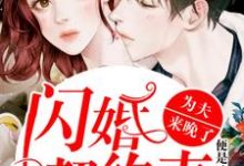 闪婚契约妻:为夫来晚了姜阮晏楚衍在线章节免费阅读-贝壳文学