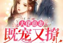 小说《大佬追妻：既宠又撩还护短》章节免费阅读-贝壳文学
