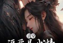 清穿:福晋是戏精,四爷日夜宠爱小说最新章节在哪里可以读到?-贝壳文学