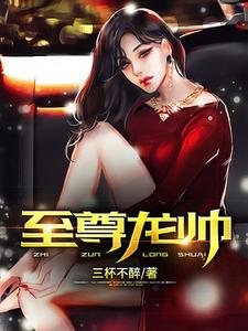 至尊龙帅江川苏向晚小说大结局免费试读